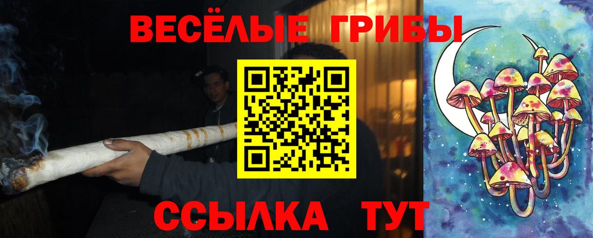 Дмитров  Псилоцибиновые грибы прущие грибы  Вход с VPN 